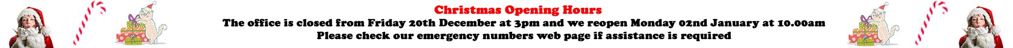 Christmas opening hours